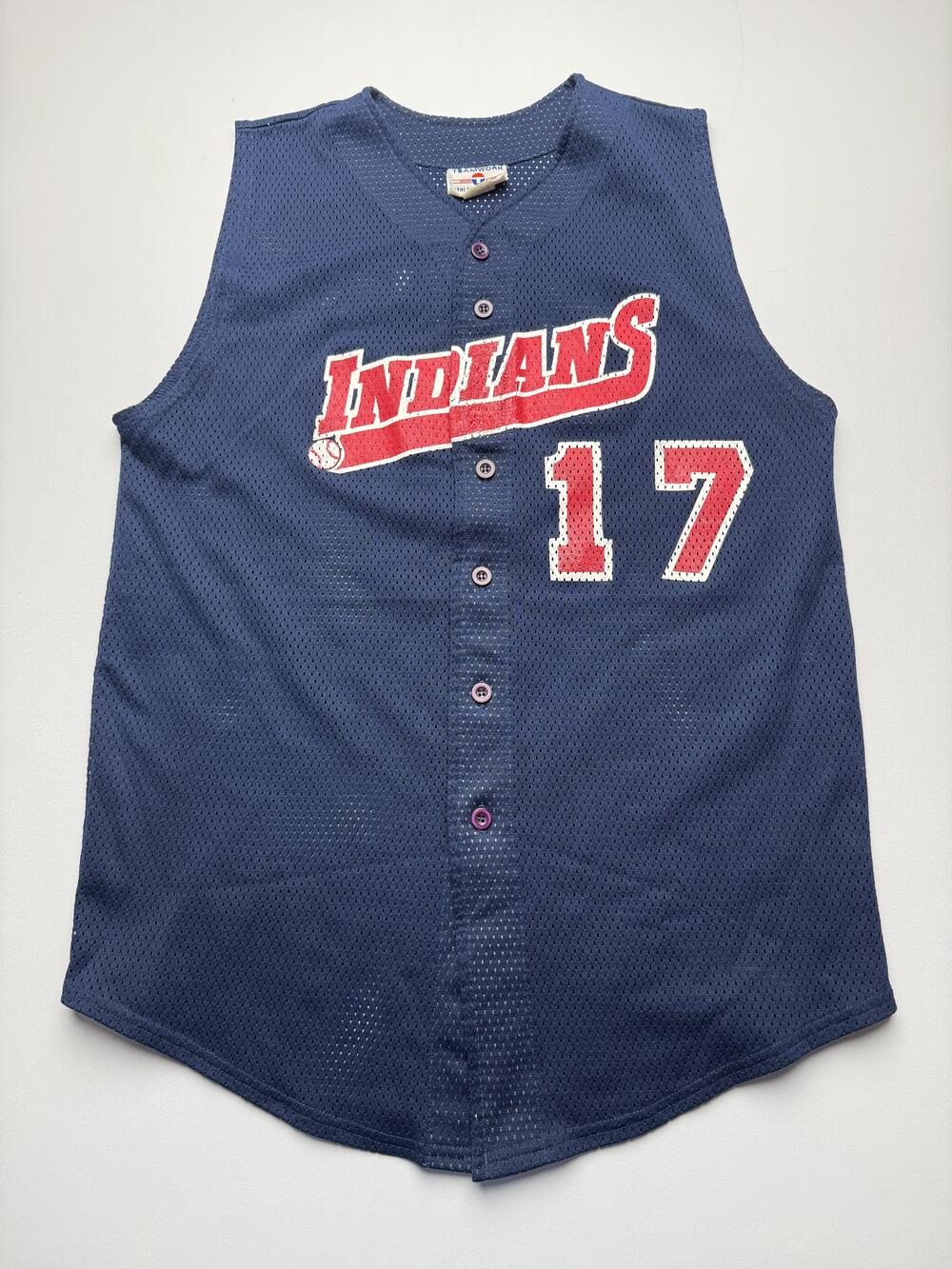Vintage Cleveland Giants Jersey Mens XL Blue Baseball Teamwork 17 USA Mesh